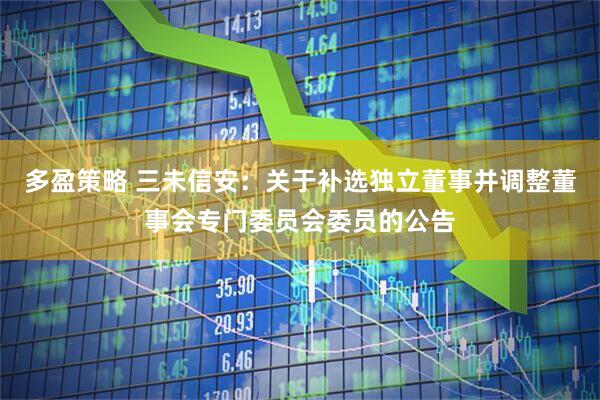 多盈策略 三未信安：关于补选独立董事并调整董事会专门委员会委员的公告
