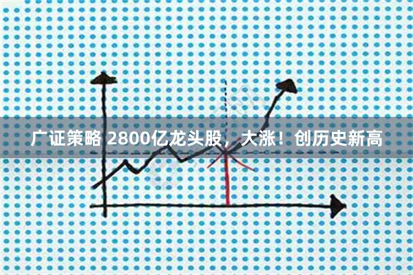 广证策略 2800亿龙头股，大涨！创历史新高