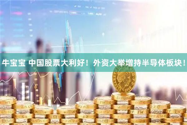 牛宝宝 中国股票大利好！外资大举增持半导体板块！