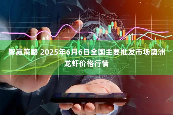 智赢策略 2025年6月6日全国主要批发市场澳洲龙虾价格行情