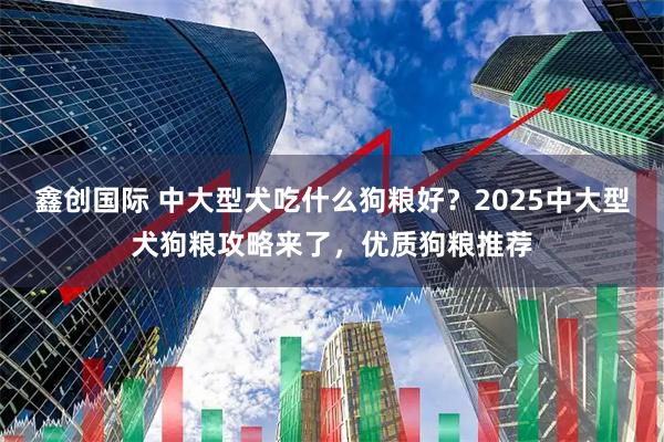 鑫创国际 中大型犬吃什么狗粮好？2025中大型犬狗粮攻略来了，优质狗粮推荐