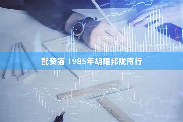 配资猫 1985年胡耀邦陇南行